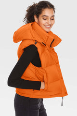 Aurora Hooded Down Puffer Vest